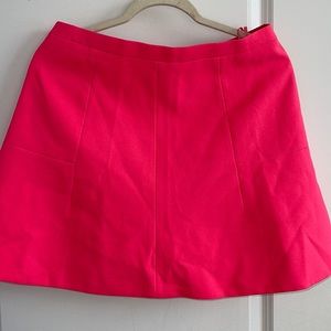 JCrew Mini Skirt